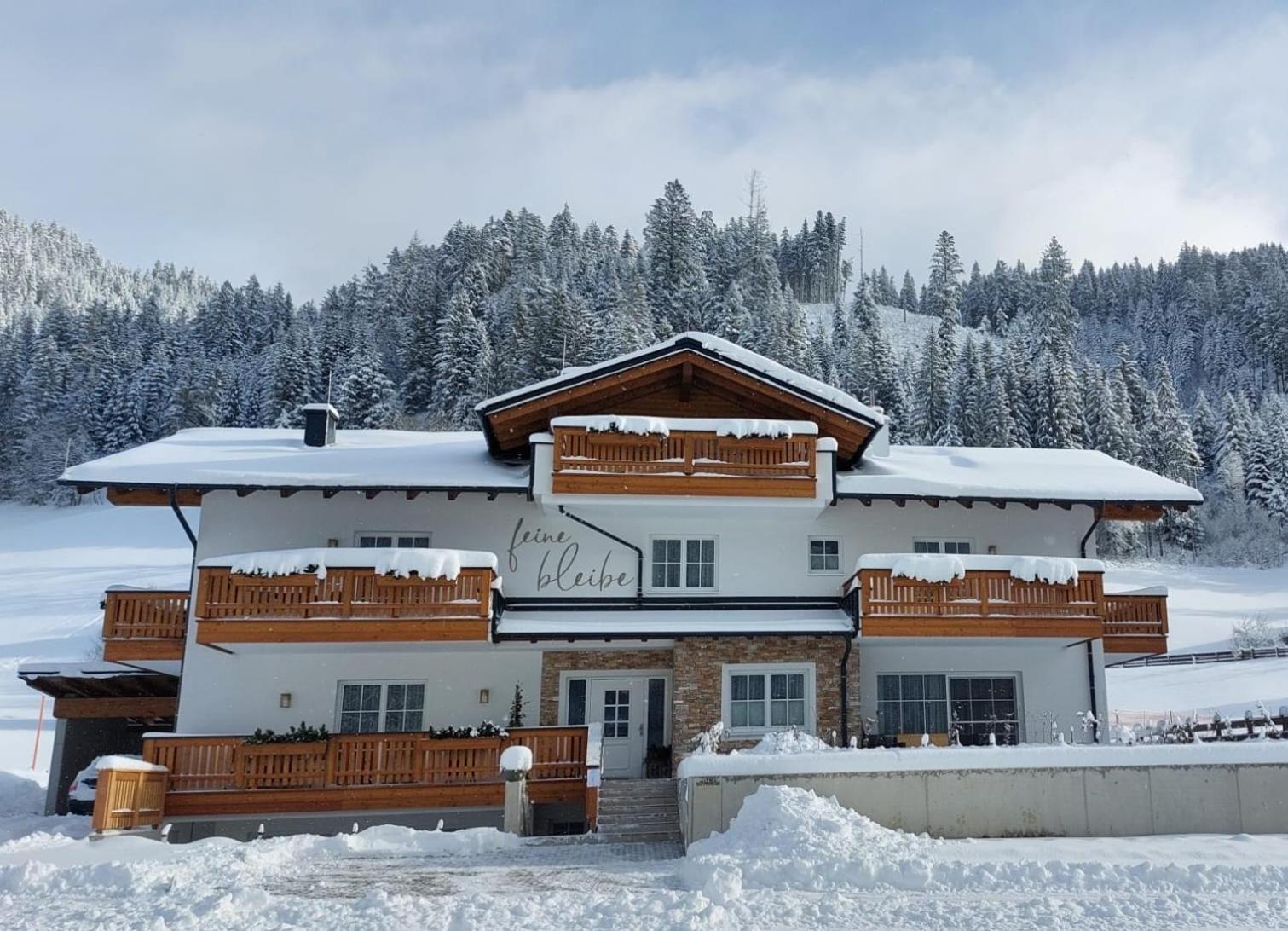 Ferienwohnung Feine Bleibe Eben Im Pongau Exterior foto